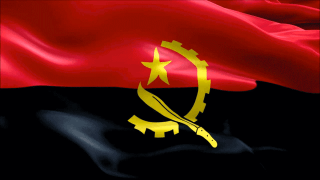 Longer flag movement (2) Longer flag movement (2)