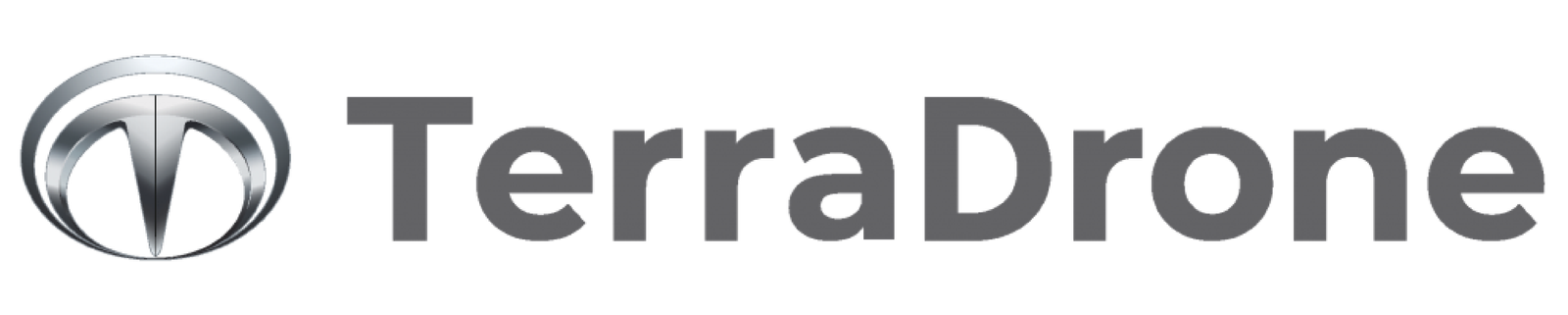 Logo TerraDrone